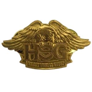 Harley-Davidson Owner Group HOG Gold Metal Unisex Pin American Eagle Stamped NWT